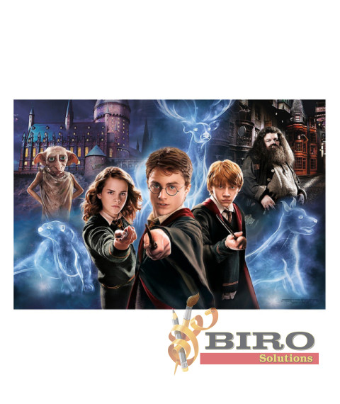 TF Puzzle "160 XL" - Lumea magică a lui Harry Potter